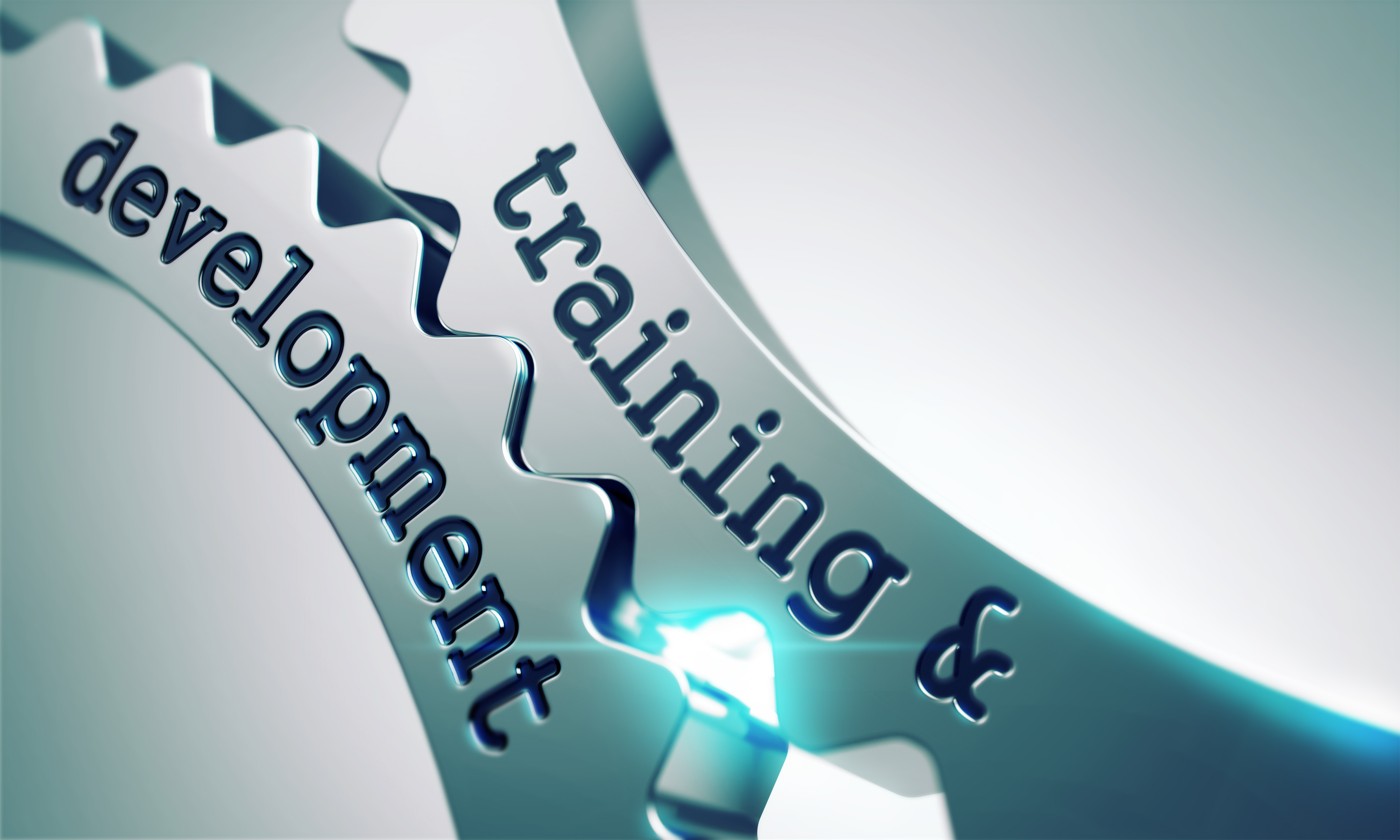 Gears labeled Training & Development