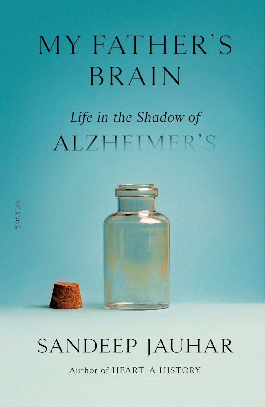 My Father's Brain book cover