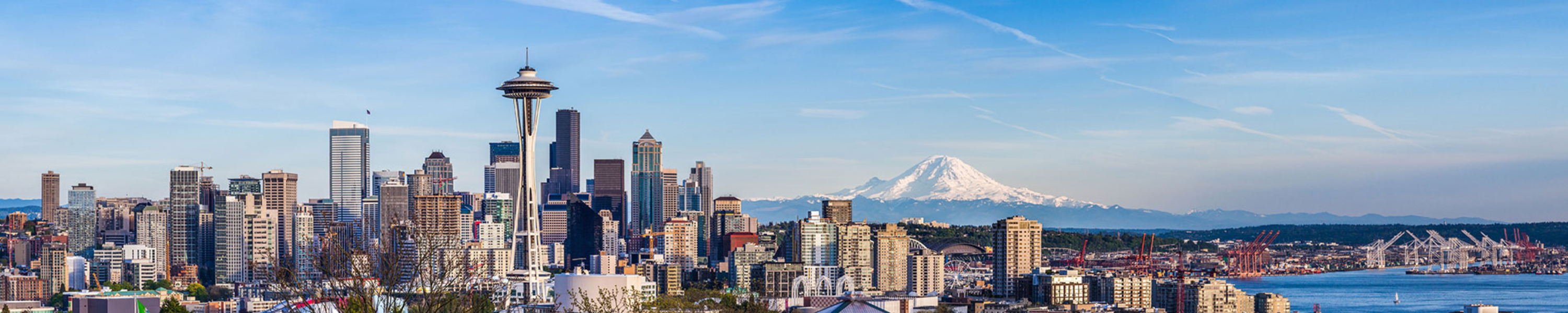 Seattle Skyline