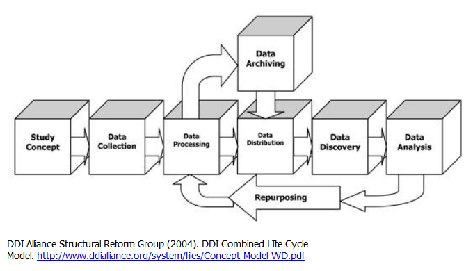 Data Lifecycle from The DDI Alliance Structural Reform Group