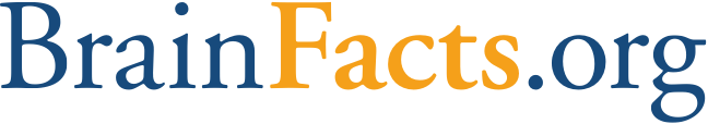 BrainFacts.org logo